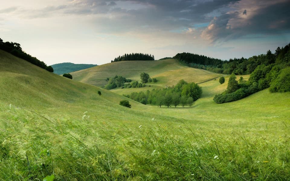 Kako očistiti i održavati javne zelene površine?