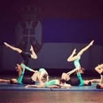 Sokolsko društvo Batajnica