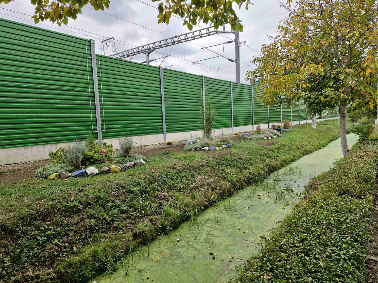 Kada komšijska briga procveta – i najobičnije mesto postane oaza lepote