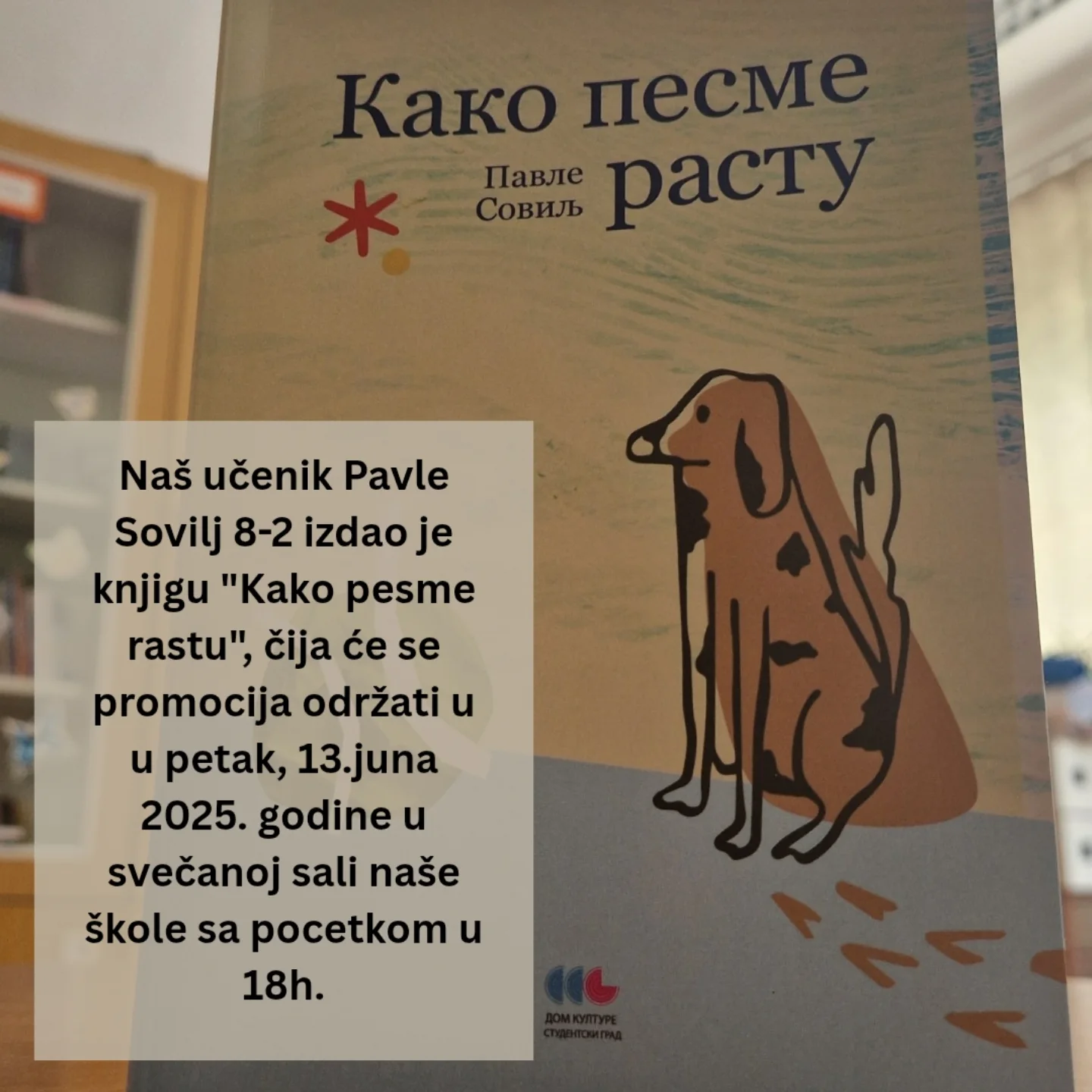 Veliki uspeh učenika Pavla Sovilja – promocija knjige "Kako pesme rastu"