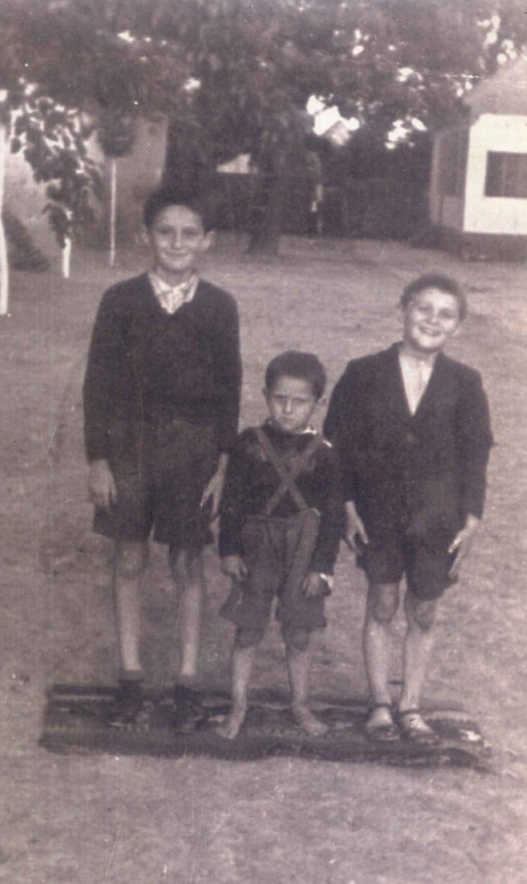 Neponovljiva braća Perić - priča iz knjige "Škola sa raskršća"