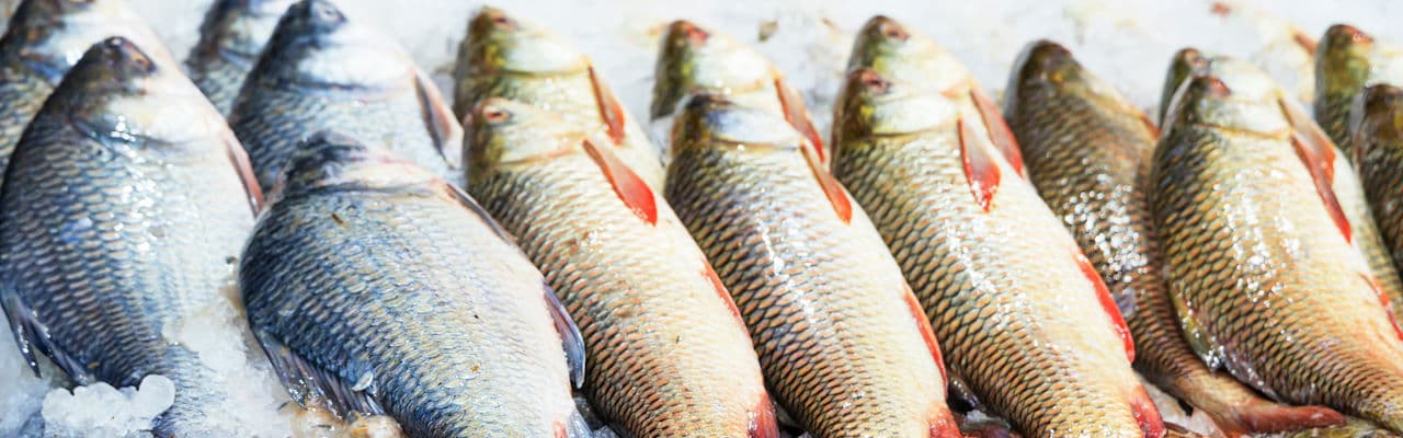 Ribarnica San Pierre